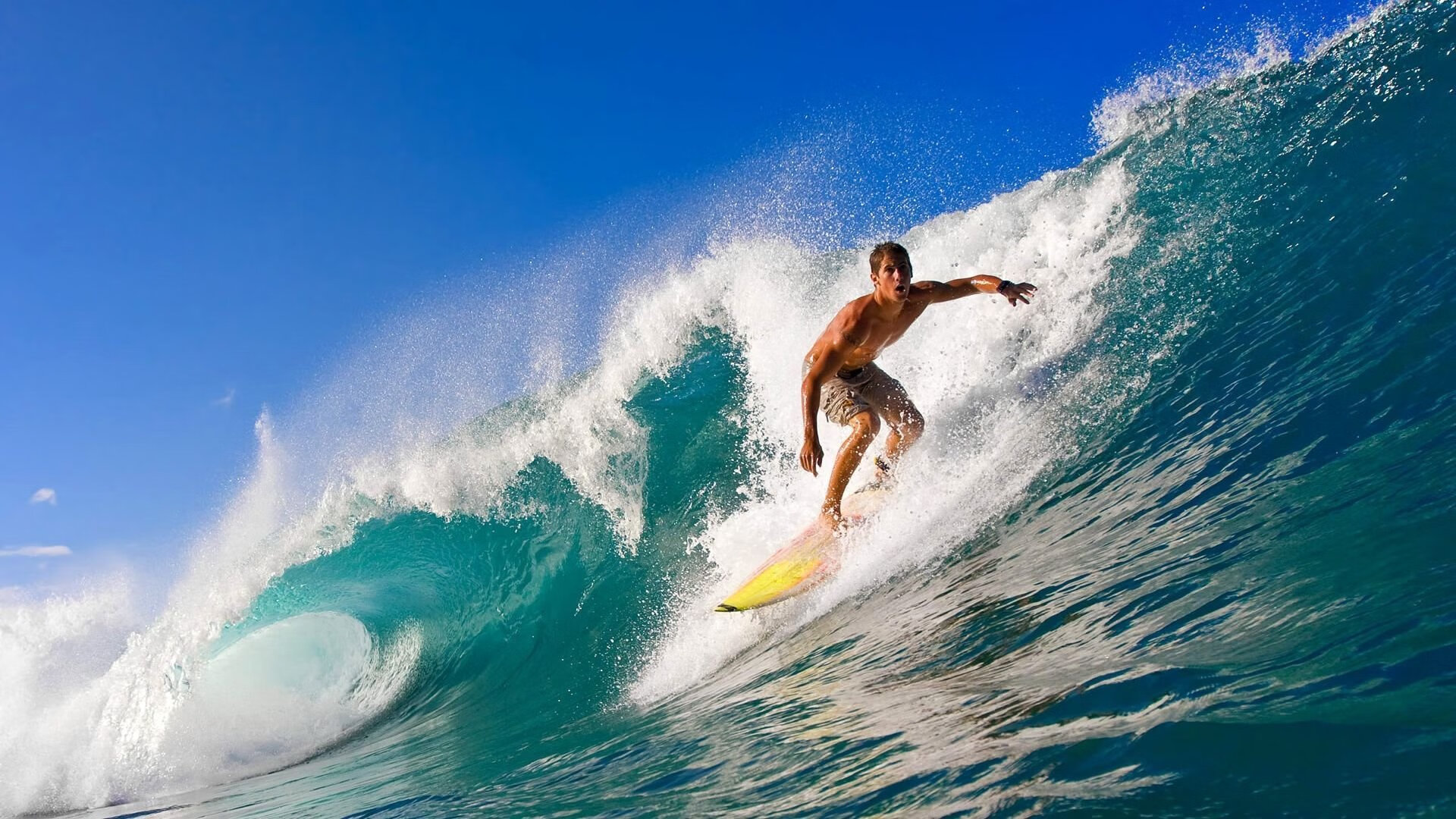 全国定向运动锦标赛多地选手展风采，全国定向锦标赛几年举办一次